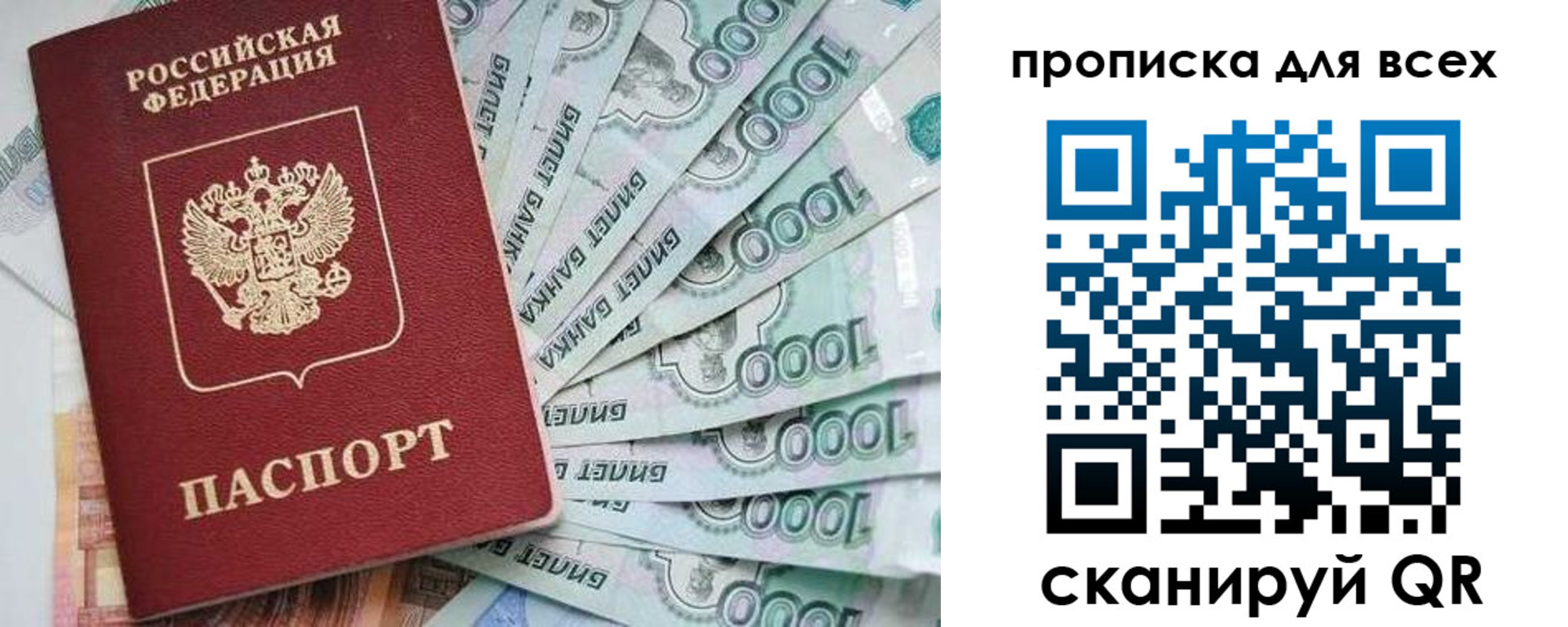 прописка гарантия в Александрове