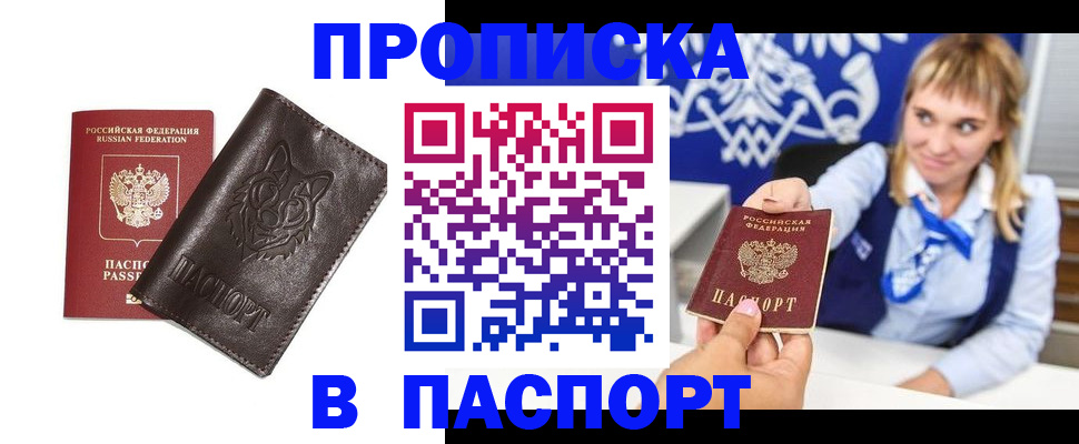где прописаться в Александрове
